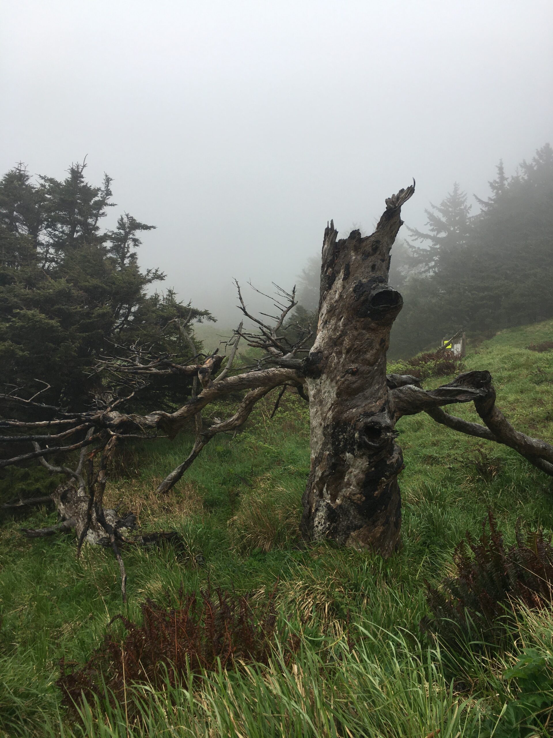 Ireland walk