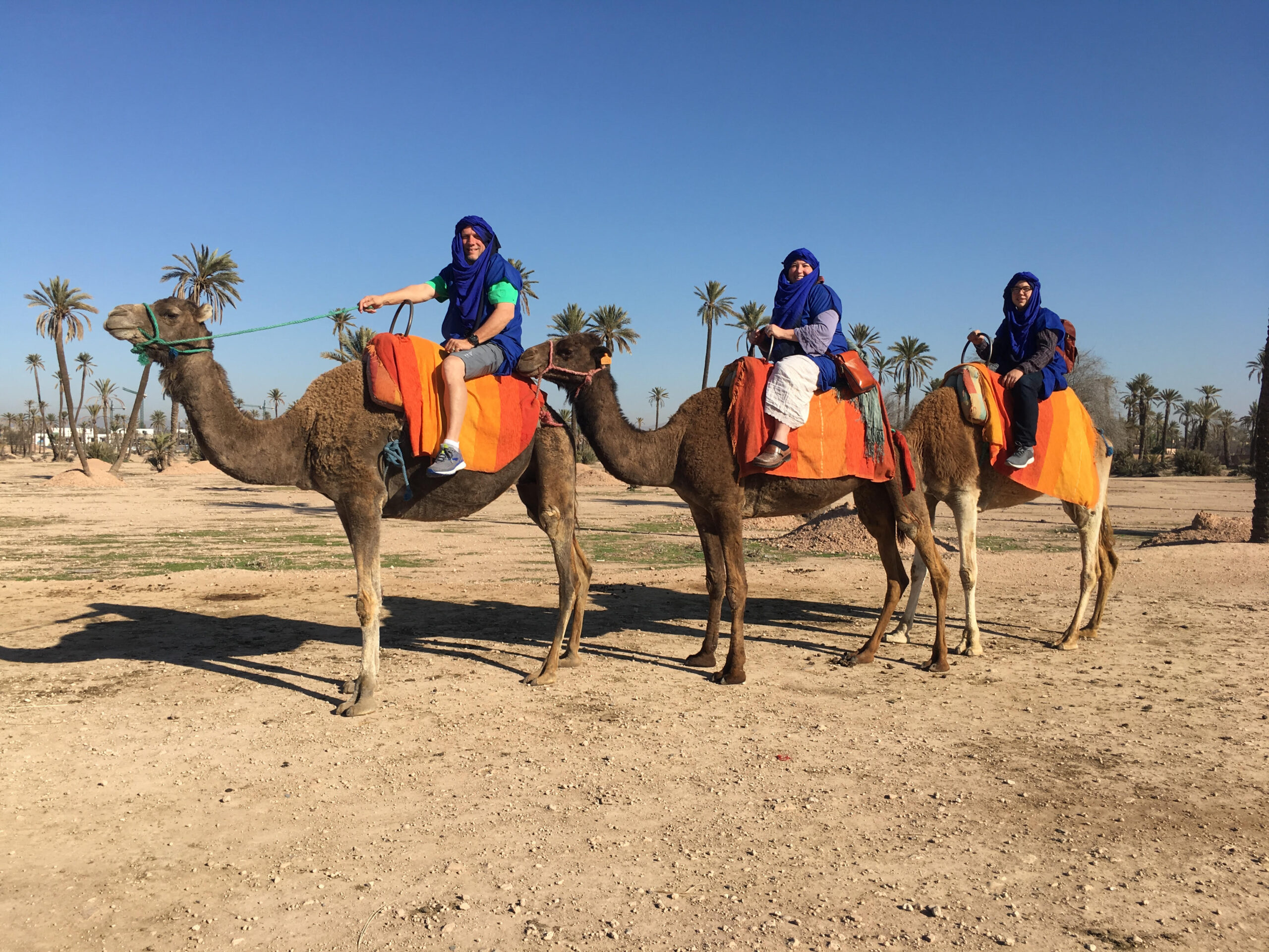 Three riders on camels in Morocco