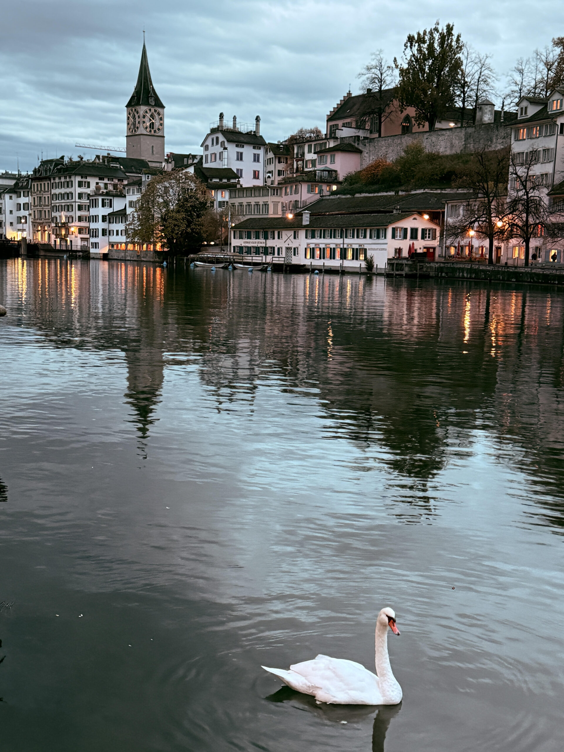 Zurich with swan