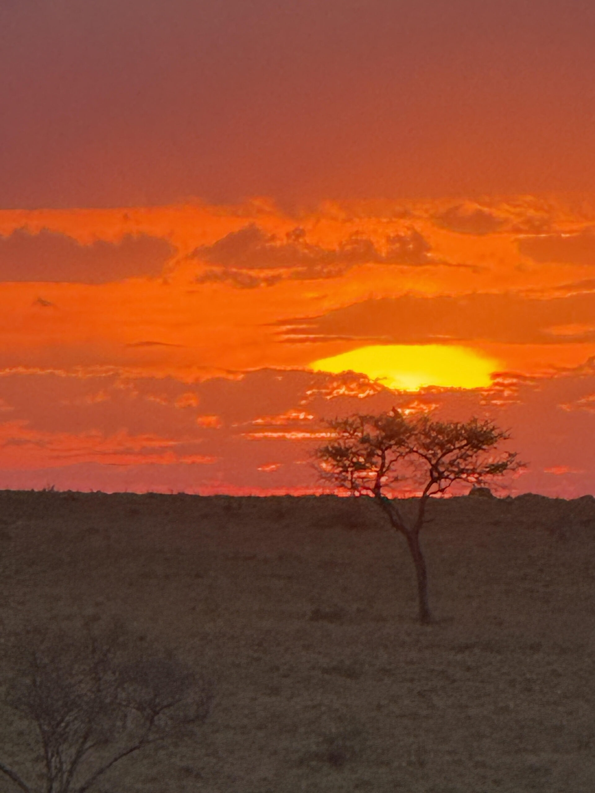 Red sunset, Kenya