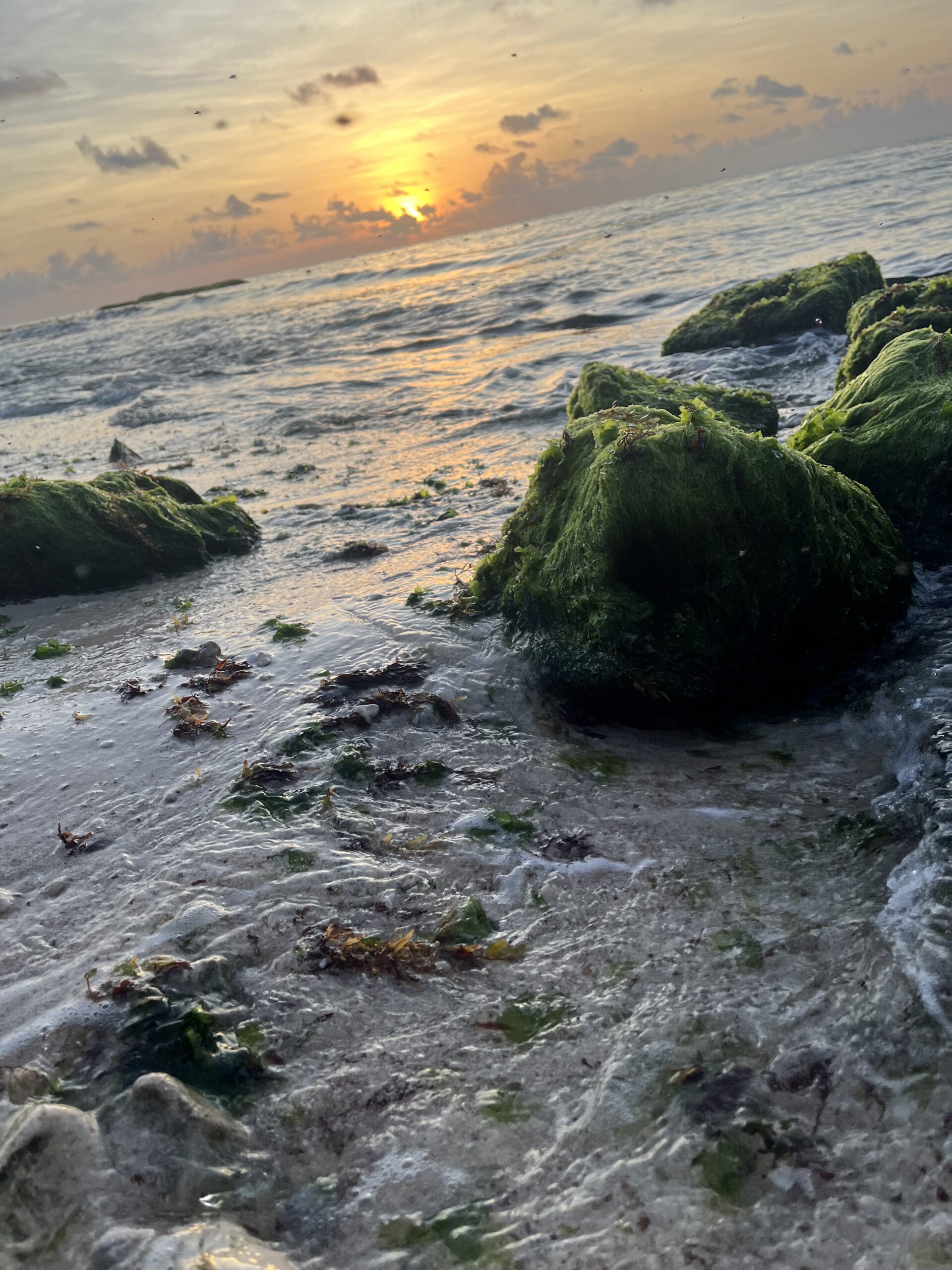 Sunrise over the ocean